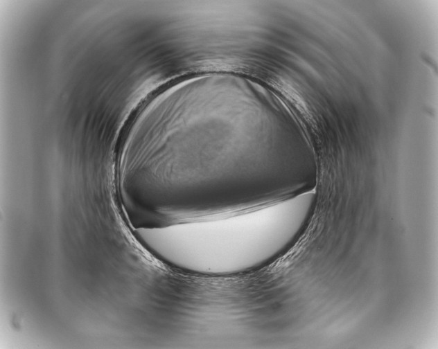 X0000098090992200804181231