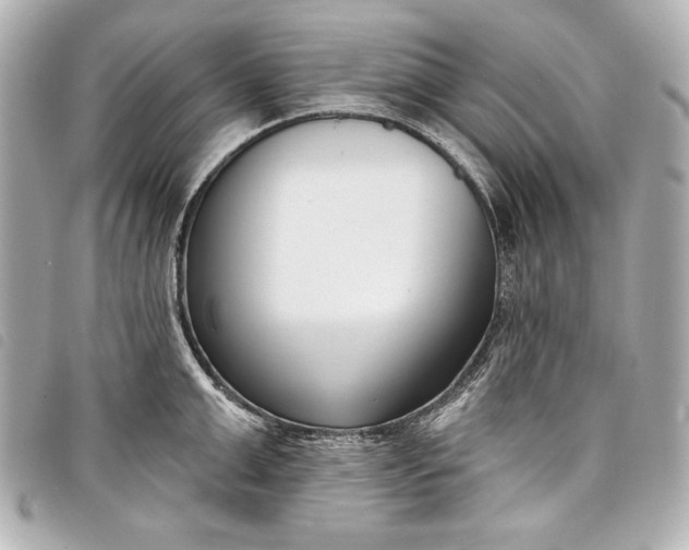 X0000098090999200804181231