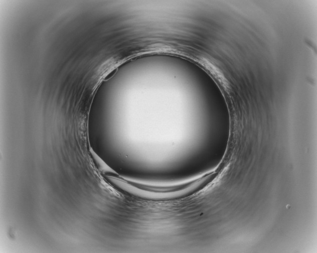 X0000098091001200804181231