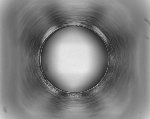 X0000098091002200804181231