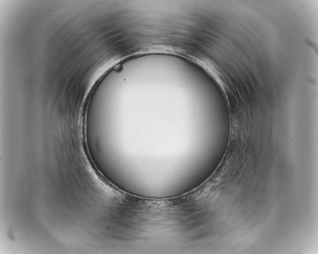 X0000098091003200804181231
