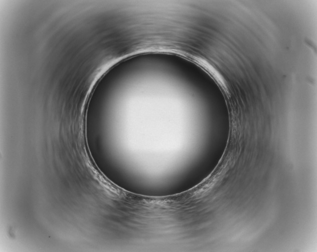 X0000098091004200804181231