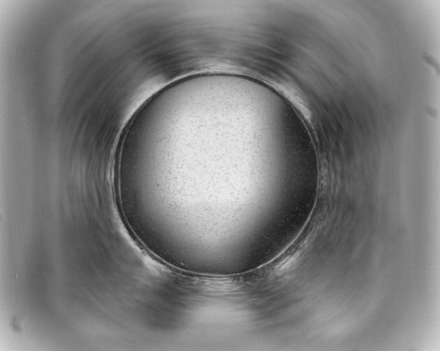 X0000098091007200804181231