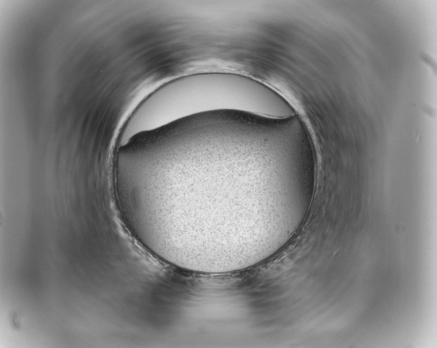 X0000098091008200804181231