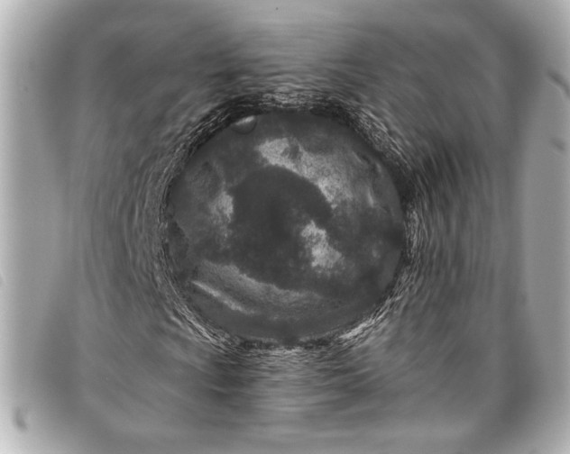 X0000098091009200804181230