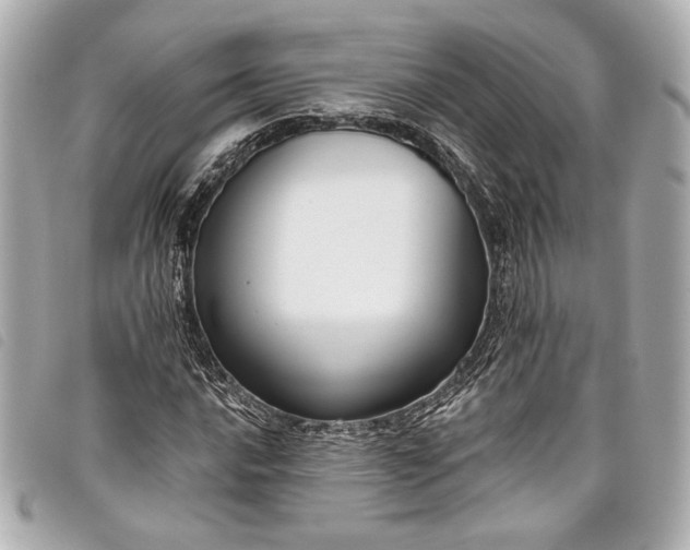 X0000098091016200804181230