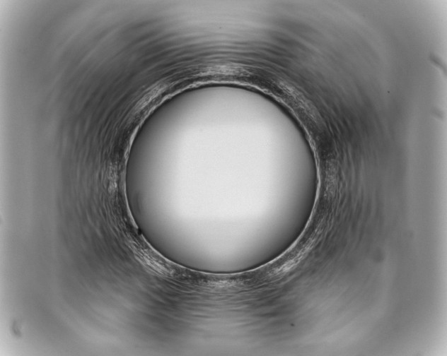 X0000098091017200804181230