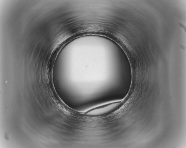 X0000098091018200804181230