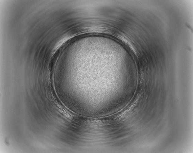 X0000098091019200804181230