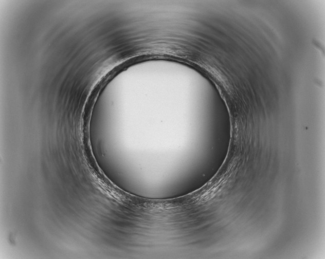 X0000098091020200804181230