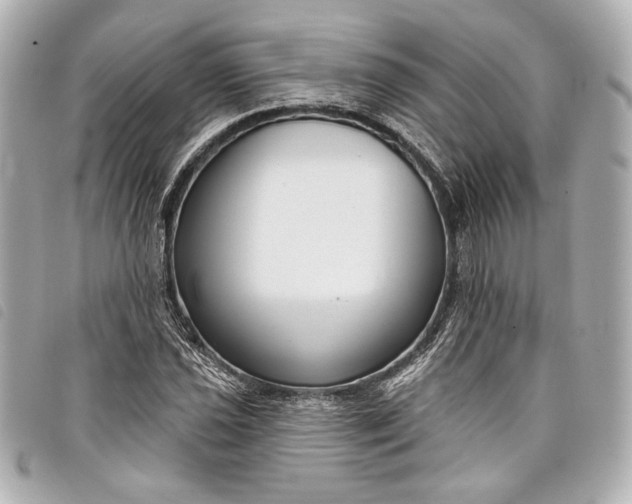 X0000098091021200804181230