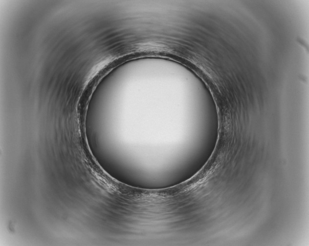 X0000098091022200804181230