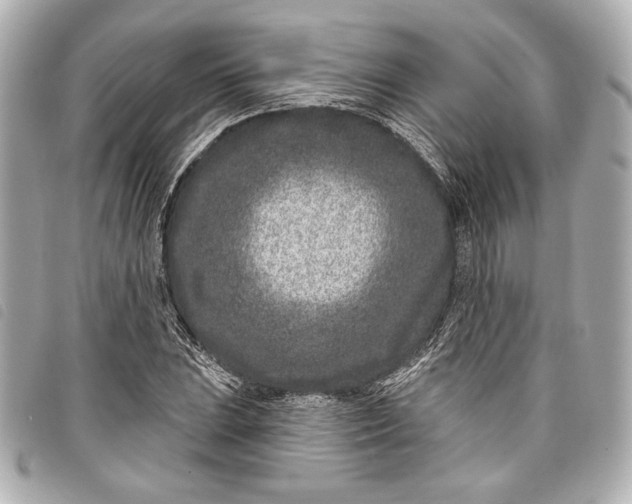 X0000098091023200804181230