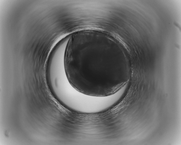 X0000098091024200804181230