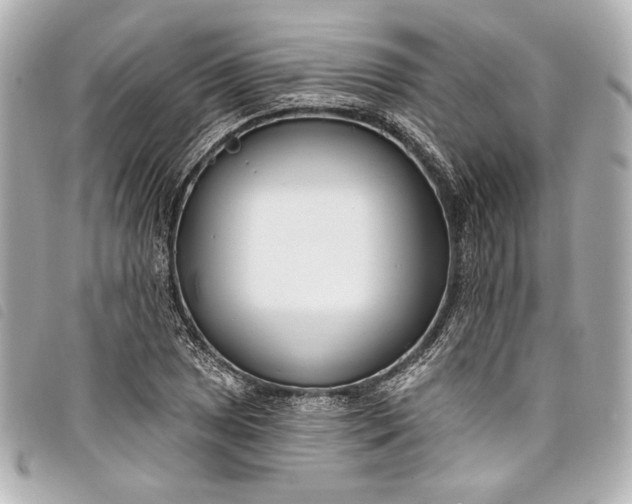 X0000098091025200804181230