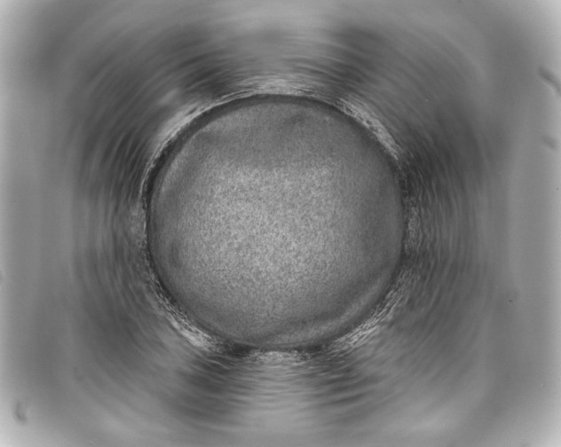 X0000098091027200804181230
