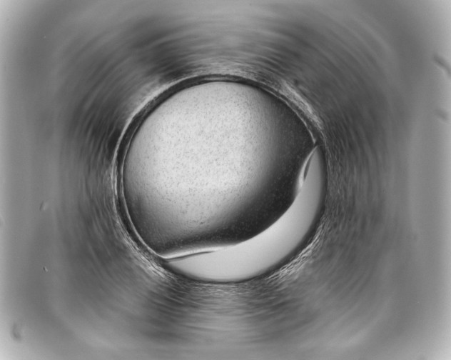 X0000098091028200804181230