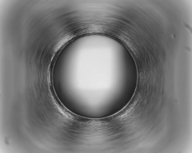 X0000098091034200804181230