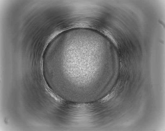 X0000098091035200804181230