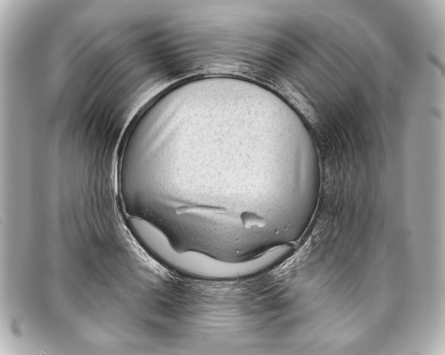 X0000098091036200804181230