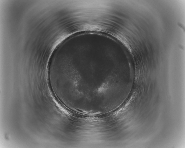 X0000098091037200804181230