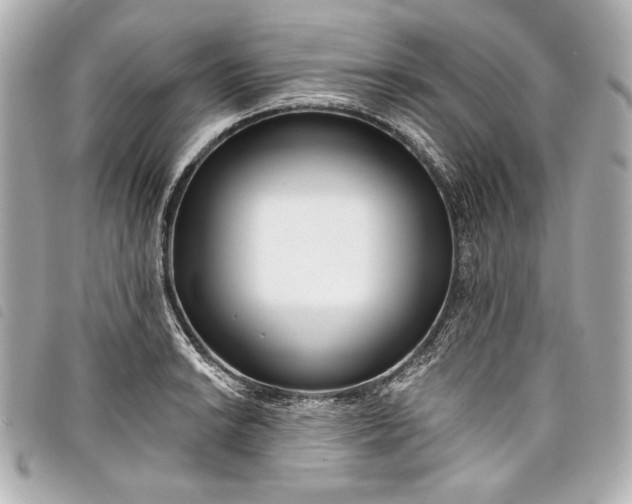 X0000098091038200804181230
