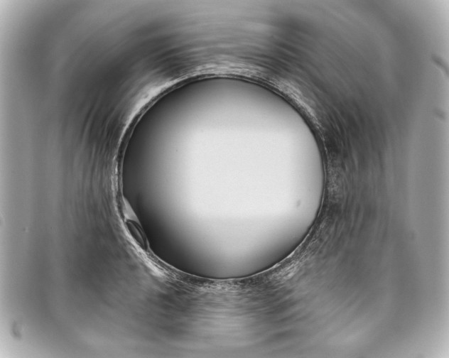 X0000098091040200804181230
