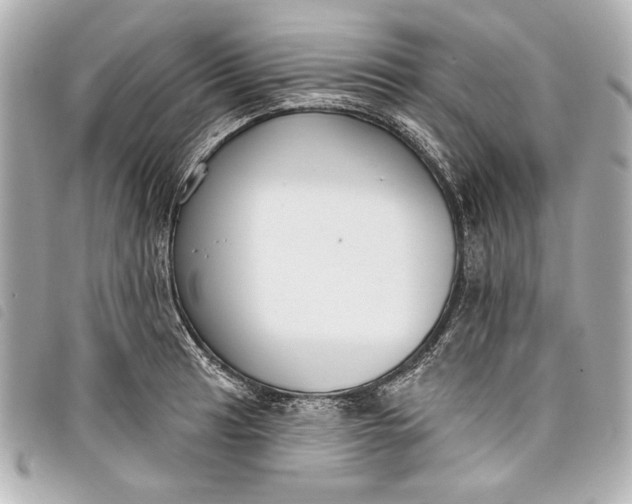 X0000098091041200804181230
