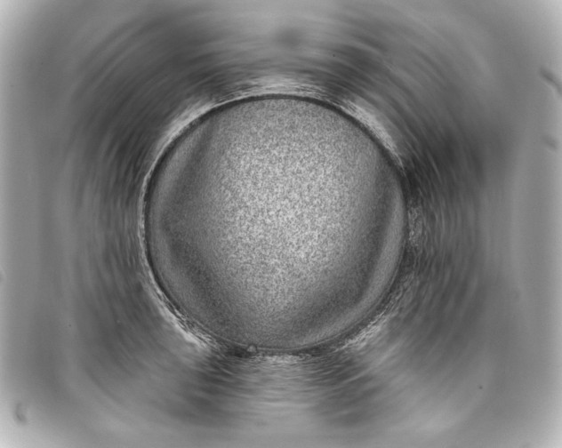X0000098091043200804181230
