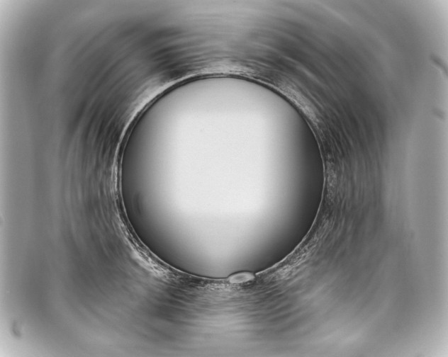 X0000098091044200804181230