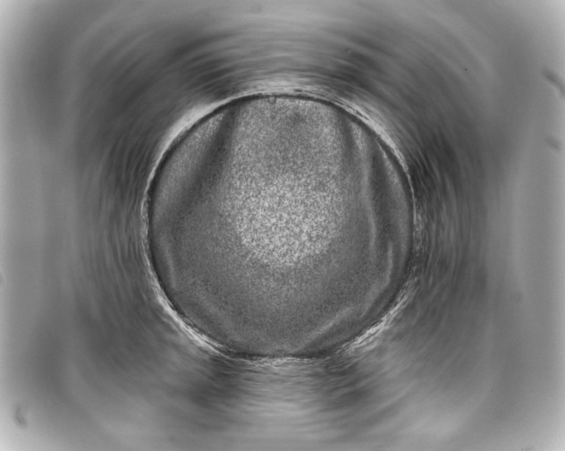 X0000098091045200804181230