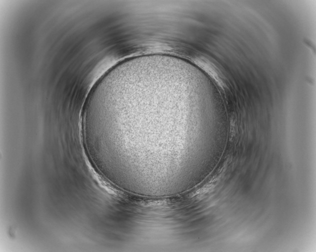 X0000098091047200804181230