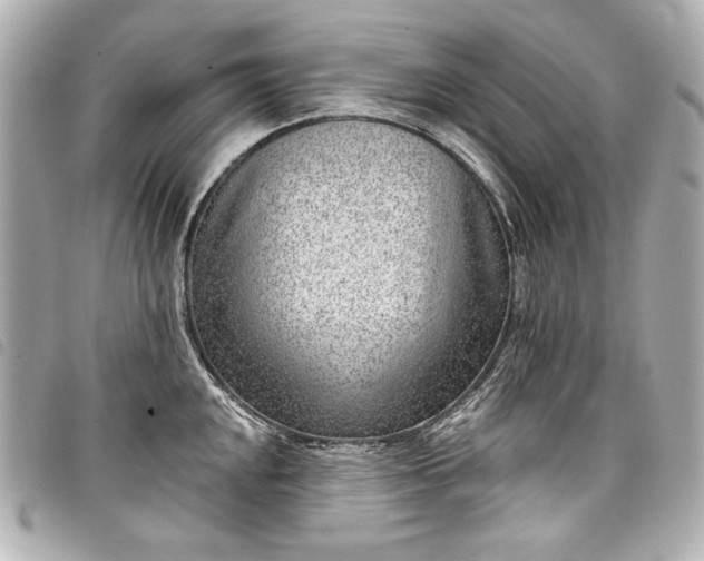 X0000098091048200804181230