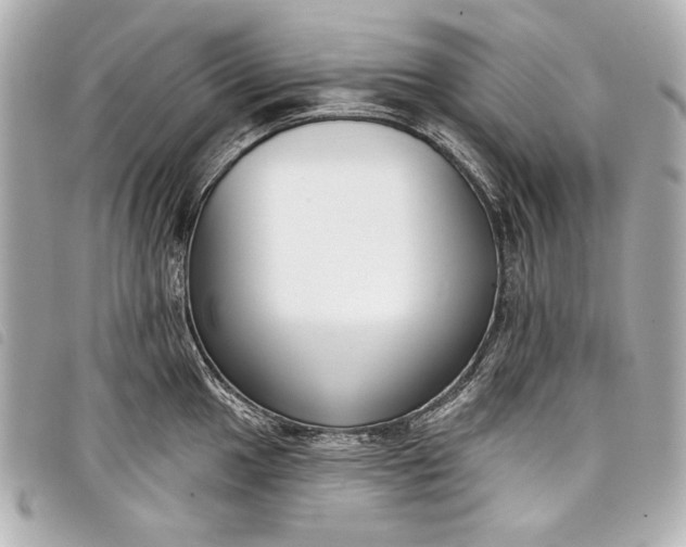 X0000098091049200804181231