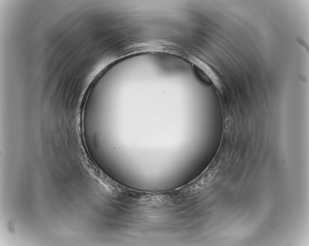 X0000098091051200804181231