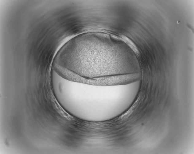 X0000098091052200804181231