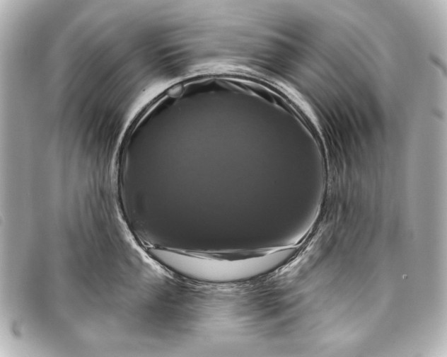 X0000098091053200804181231