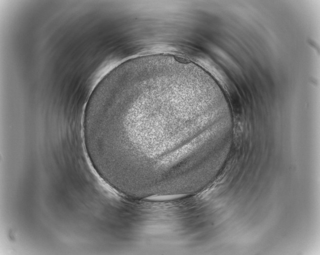 X0000098091055200804181231
