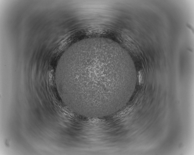 X0000098091059200804181230