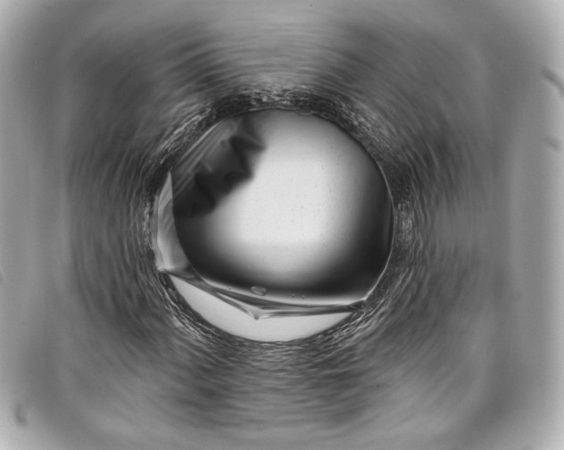 X0000098091060200804181230