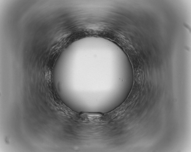 X0000098091061200804181230