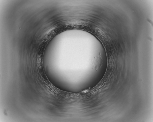 X0000098091062200804181230