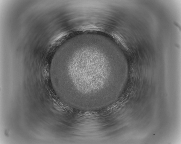 X0000098091063200804181230