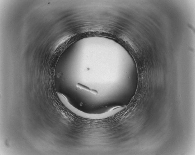 X0000098091064200804181230