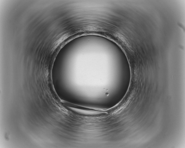 X0000098091065200804181230