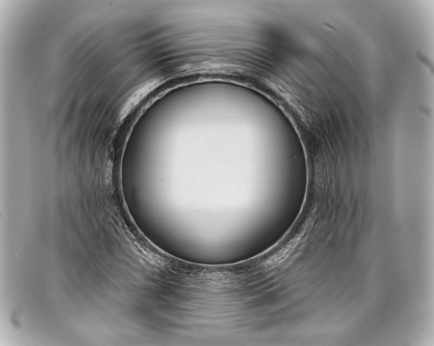X0000098091066200804181230