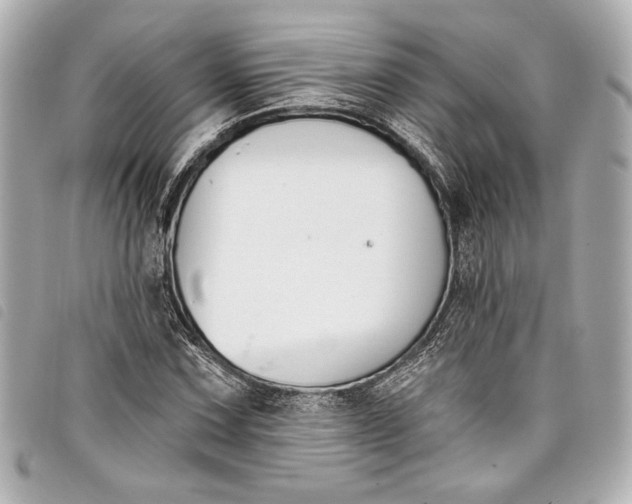 X0000098091067200804181230