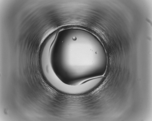 X0000098091069200804181230