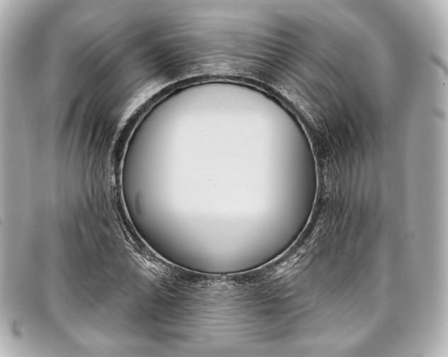 X0000098091070200804181230