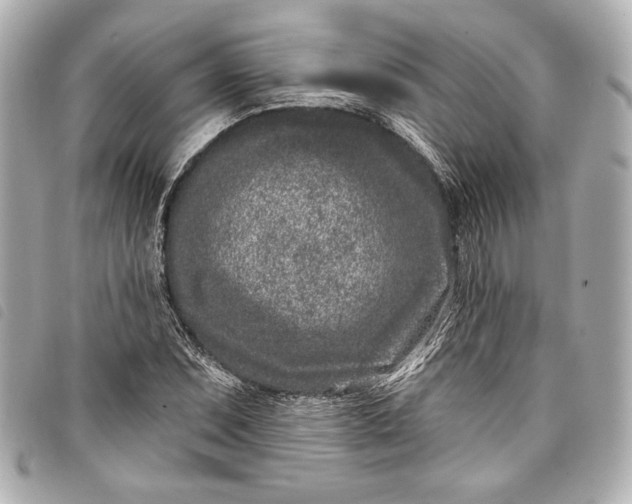 X0000098091071200804181230